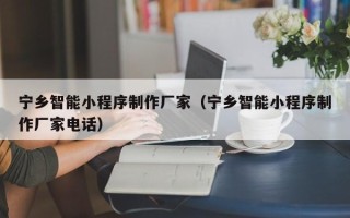 克孜勒苏宁乡智能小程序制作厂家（宁乡智能小程序制作厂家电话）